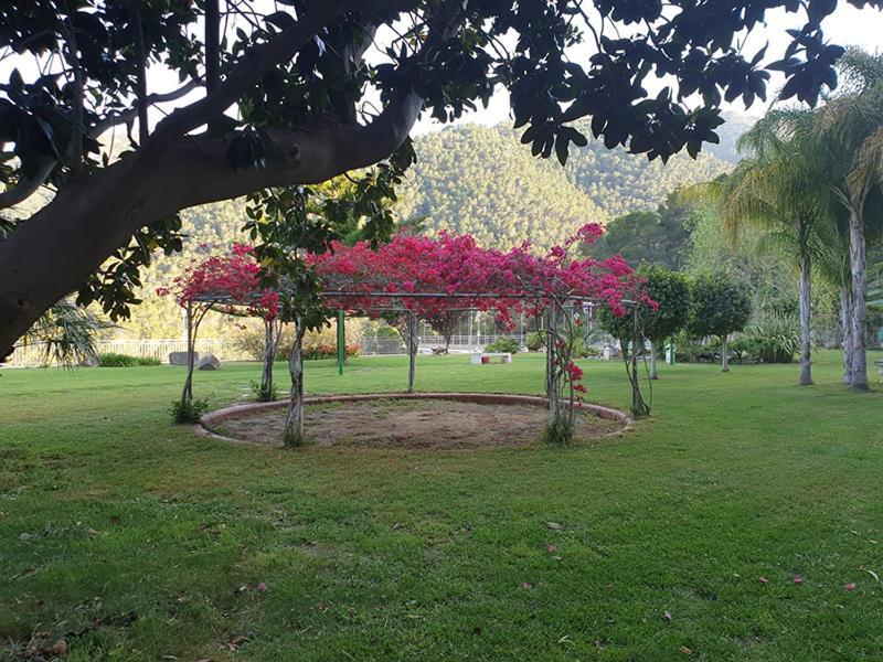 Villa Montgrau Llano de Gorra Exterior foto